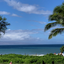 Timeshare Calculators with AI icon