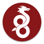 WireGuard icon