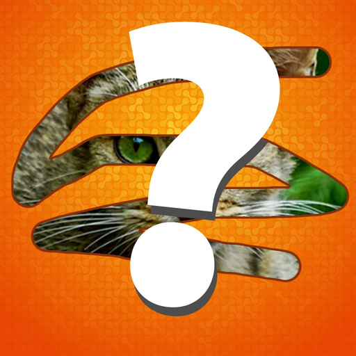 Scratch and Guess it app icon
