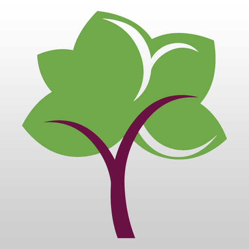 Grace UMC - Franklin, IN app icon