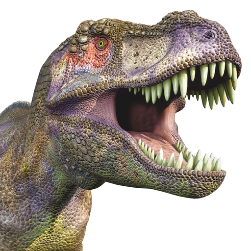 Dinosaurs Reference Book app icon