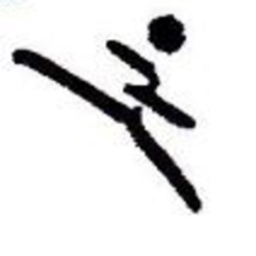 Karate Cantero app icon
