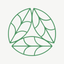 Lettuce Grow icon