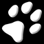 Camera Cards icon