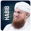 Maulana Abdul Habib icon