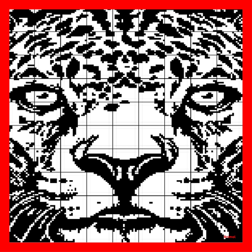 Nonogram 9 app icon