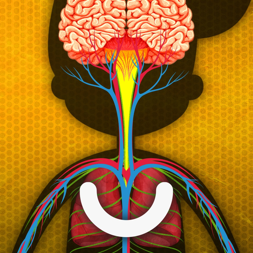 The Human Body: Learn Anatomy app icon