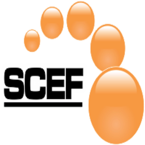 SCEF Gerencial app icon