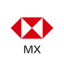 HSBC México icon