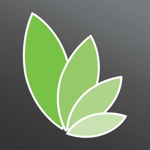 Wellness by LetsLose app icon