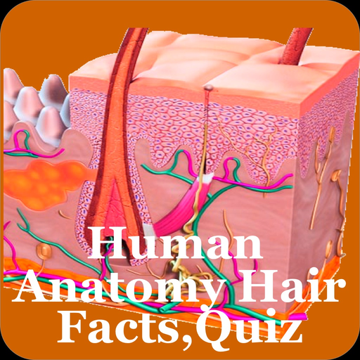Human Anatomy Hair Facts,Quiz app icon