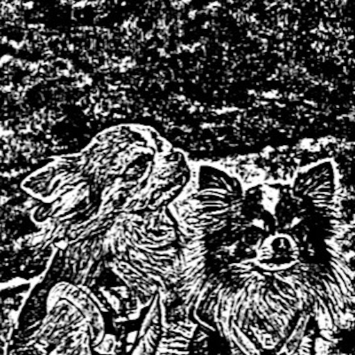 Change photo/image to woodcut! app icon