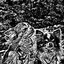 Change photo/image to woodcut! icon