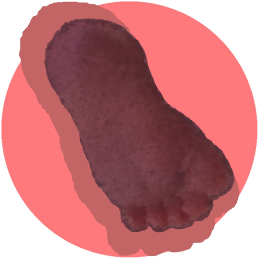 Maternity trivial app icon