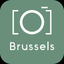 Brussels Guide & Tours icon