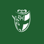 RFAF TV icon