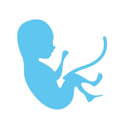 Mali Pomocnicy Boga app icon