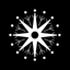 Dandelion Salon icon