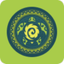 VV Companion App icon