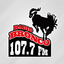 Radio Bronco 107.7 icon