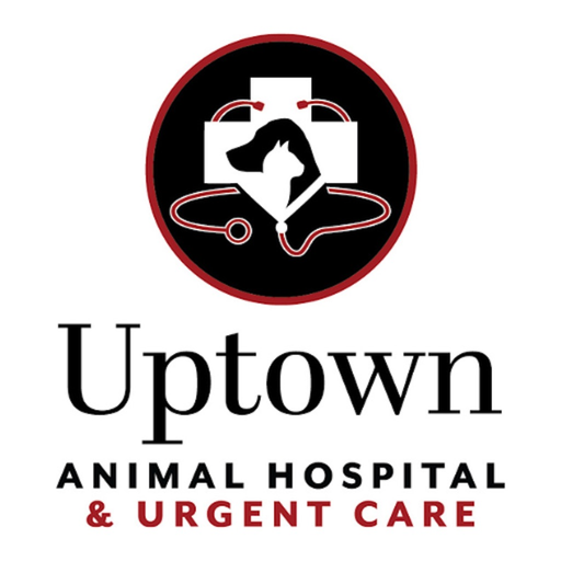 Uptown Vet app icon