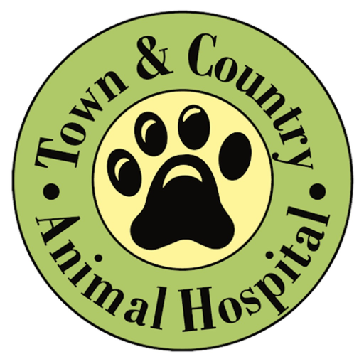 Town & Country Vet app icon