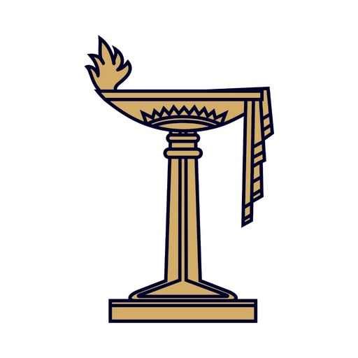 DSOBS app icon