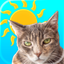 Sunkitty icon