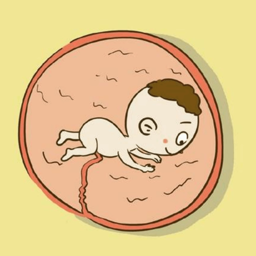 Fetal Movement Counter app icon