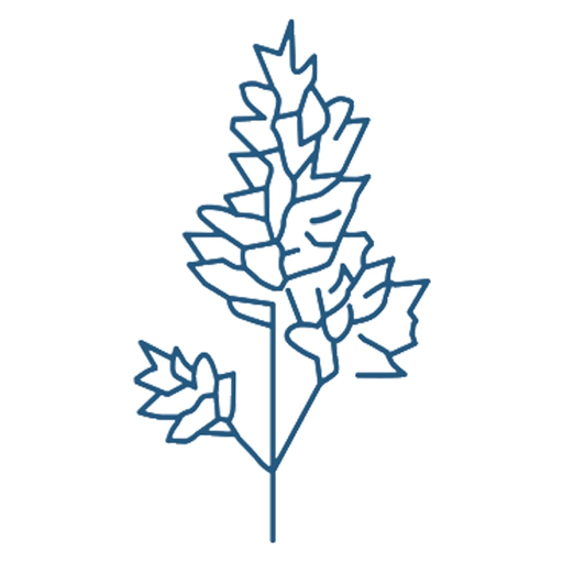 Itk diary card app icon