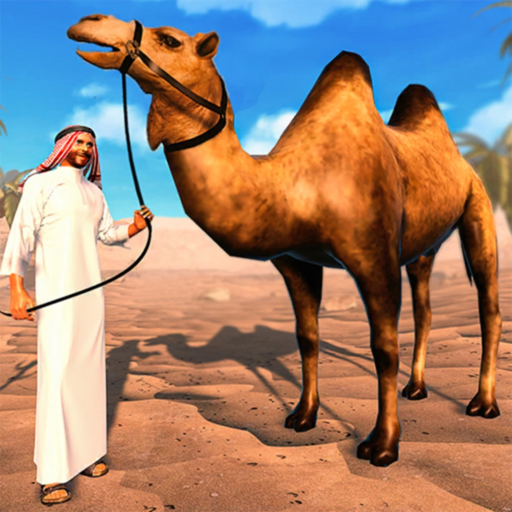 Dubia Camel Transport Games app icon