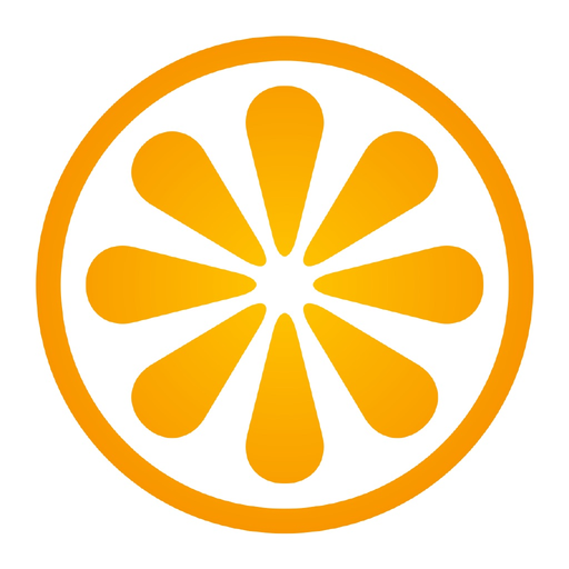 VisitBasis for merchandisers app icon