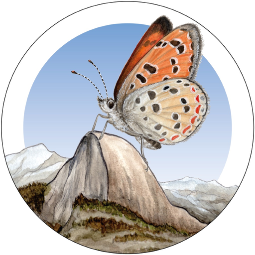 Yosemite Butterflies app icon
