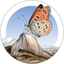 Yosemite Butterflies icon