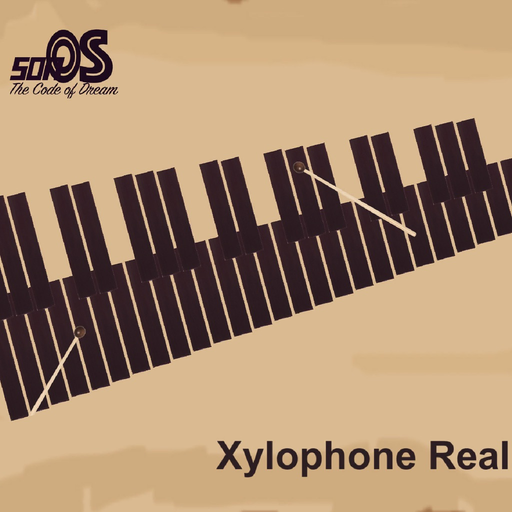Xylophone Real: 2 mallet types app icon