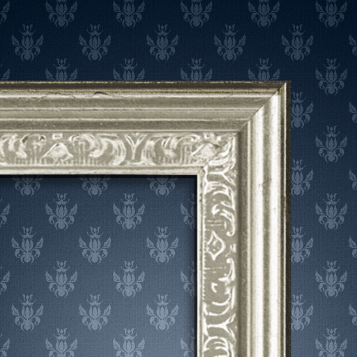 Frames - Photo Frame app icon