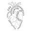 EhoKardio icon