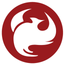 Phoenix Ortho Patient Kiosk icon