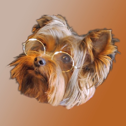 How Are You-? app icon