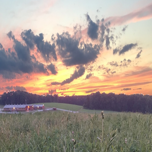 SunSet Lab + Sky Photo Editor app icon