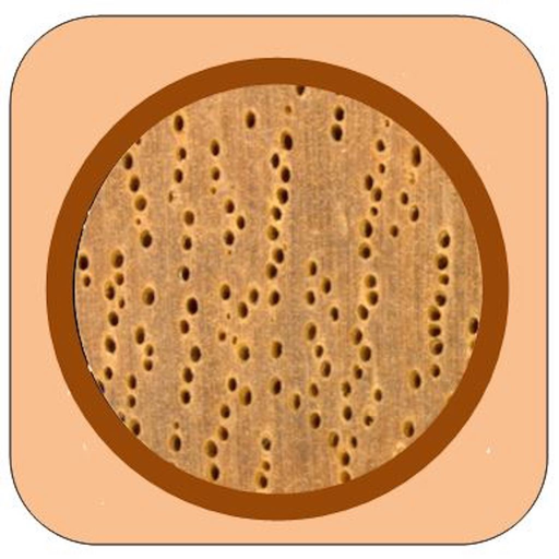 MyWoodPremium app icon