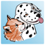 Brainy Words 2000 icon