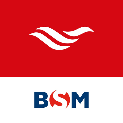 BSM LiveFleet app icon