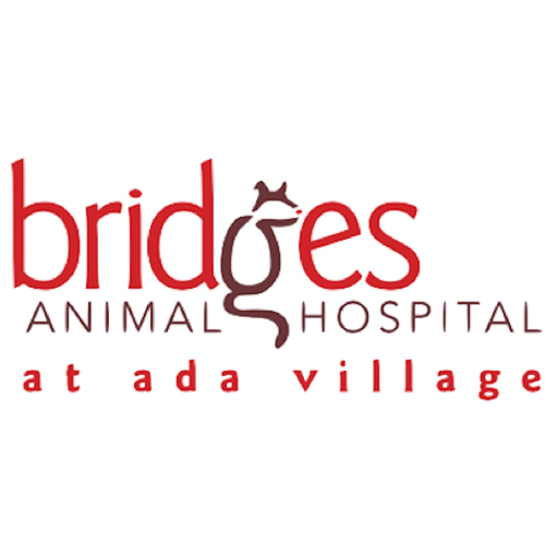 Bridges AH app icon