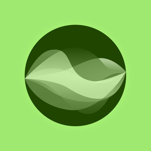 Noah AI: Your Emotional Coach app icon