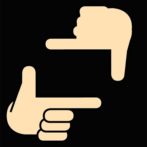 PLAYKING app icon