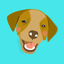 DogCare - Calendar, Diary icon