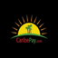 CaribePay App icon
