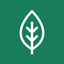Eco Friendly Cleaners icon