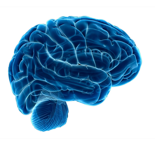 Chiari Symptom Tracker app icon